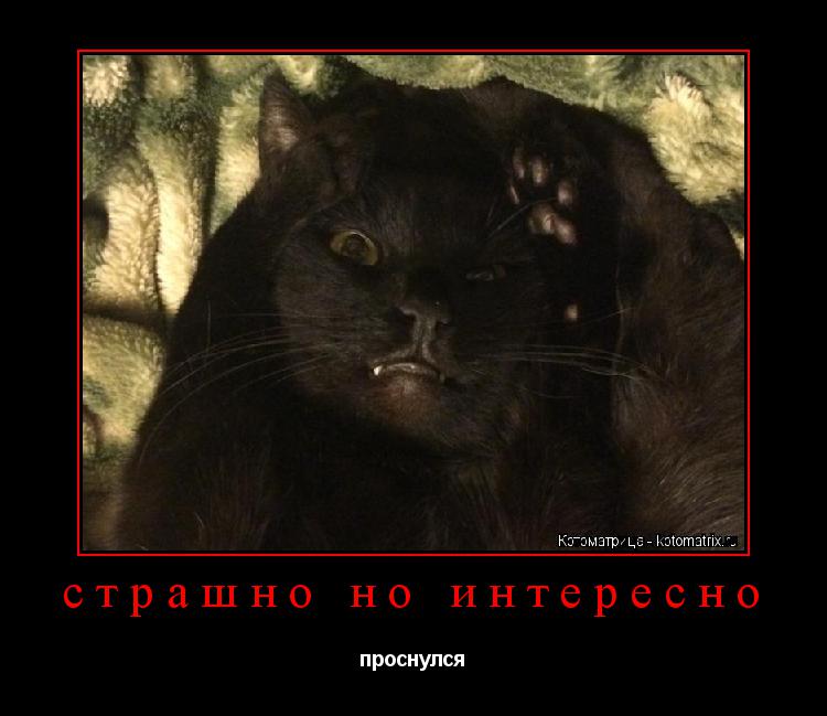 страшно но интересно проснулся... Котоматрица: страшно но интересно проснулся