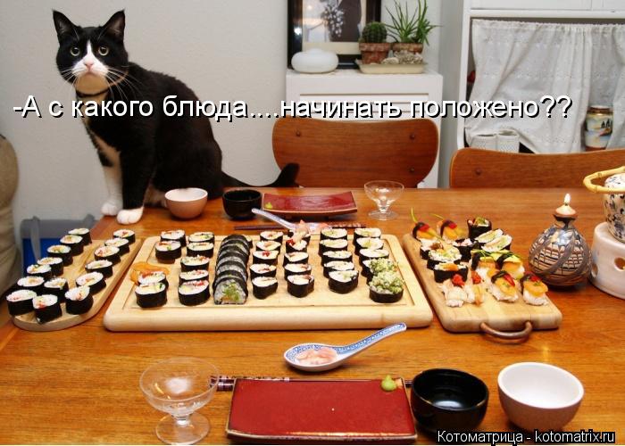 Котоматрица: -А с какого блюда....начинать положено??