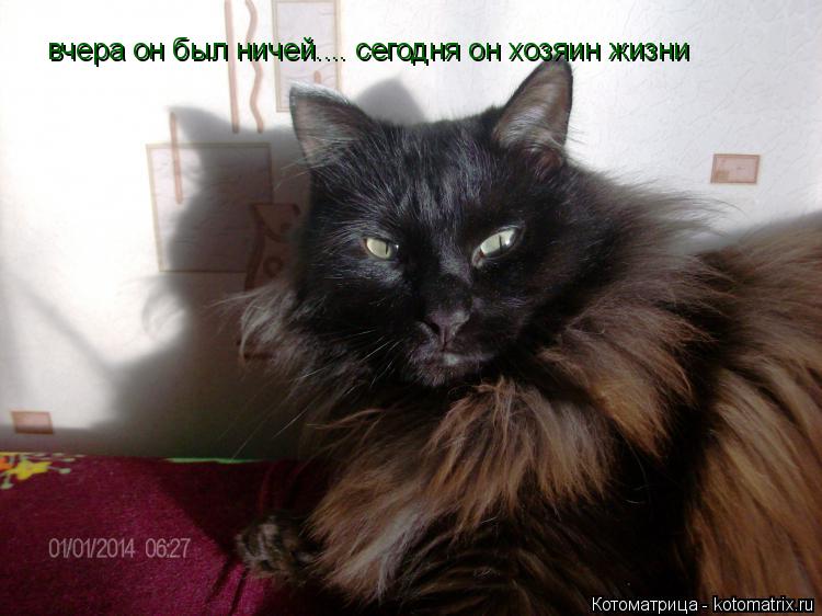 вчера он был ничей.... сегодня он хозяин жизни вчера он был ничей.... сегодня он хозяин жизни... Котоматрица: вчера он был ничей.... сегодня он хозяин жизни вчера он был ничей.... сегодня он хозяин жизни