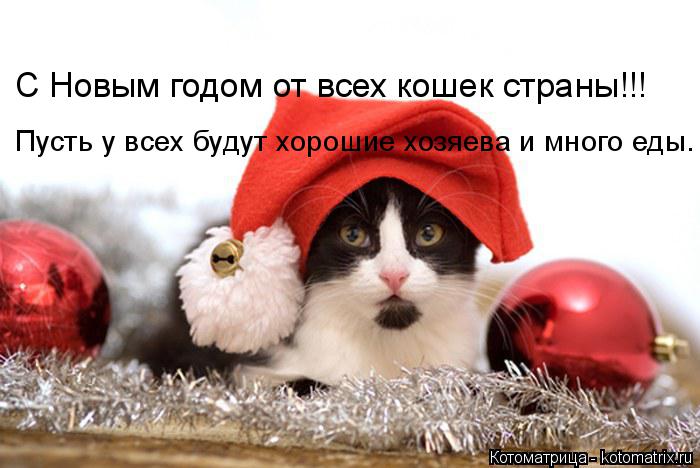 С Новым годом от всех кошек страны!!! Пусть у всех будут хорошие хозяева и много еды.... Котоматрица: С Новым годом от всех кошек страны!!! Пусть у всех будут хорошие хозяева и много еды.