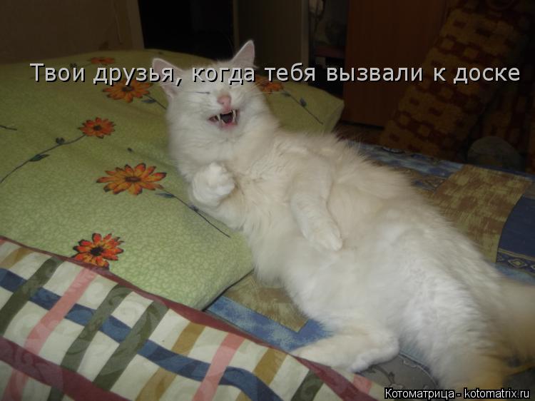 Твои друзья, когда тебя вызвали к доске... Котоматрица: Твои друзья, когда тебя вызвали к доске