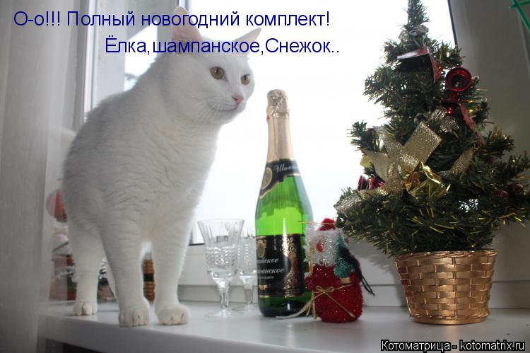 Котоматрица: О-о!!! Полный новогодний комплект! Ёлка,шампанское,Снежок..