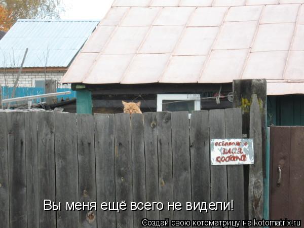 Вы меня ещё всего не видели!... Котоматрица: Вы меня ещё всего не видели!