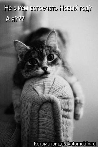 Не с кем встречать Новый год? А я???... Котоматрица: Не с кем встречать Новый год? А я???