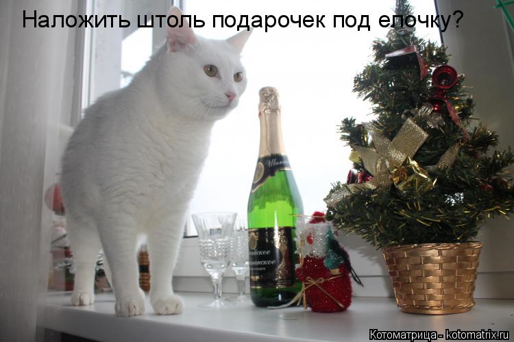 Наложить штоль подарочек под елочку?... Котоматрица: Наложить штоль подарочек под елочку?