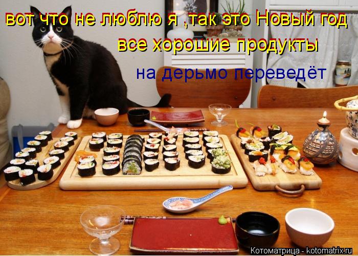 Котоматрица: вот что не люблю я ,так это Новый год вот что не люблю я ,так это Новый год все хорошие продукты все хорошие продукты на дерьмо переведёт