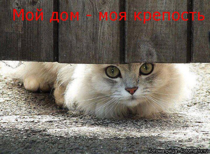 Мой дом - моя крепость... Котоматрица: Мой дом - моя крепость