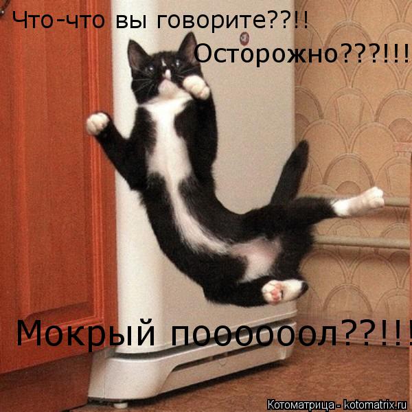 Что-что вы говорите??!! Осторожно???!!! Мокрый поооооол??!!!!!... Котоматрица: Что-что вы говорите??!! Осторожно???!!! Мокрый поооооол??!!!!!