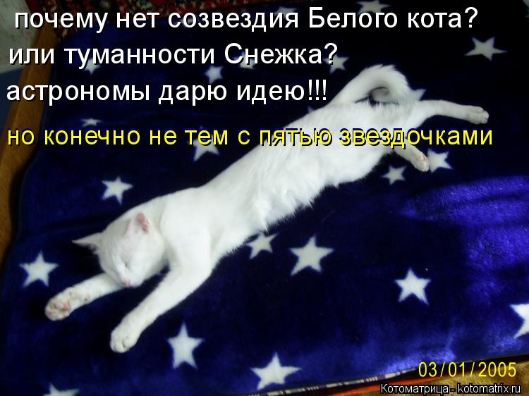 почему нет созвездия Белого кота? или туманности Снежка? астрономы дарю идею!!! но конечно не тем с п... Котоматрица: почему нет созвездия Белого кота? или туманности Снежка? астрономы дарю идею!!! но конечно не тем с пятью звездочками но конечно не тем с пят