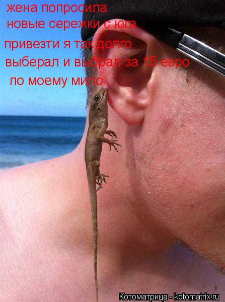 Котоматрица: жена попросила  новые сережки с юга  привезти я так долго  выберал и выбрал за 15 евро по моему мило