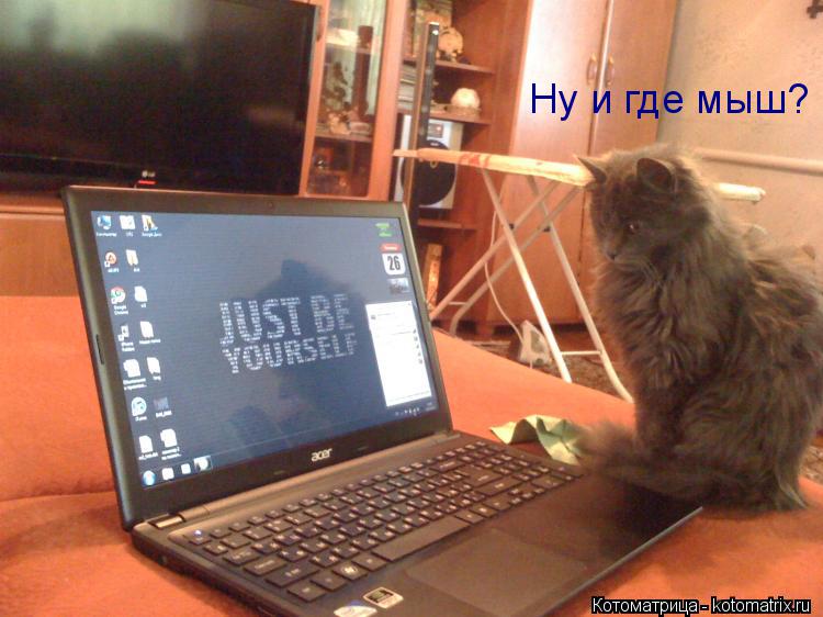 Котоматрица: Ну и где мыш?
