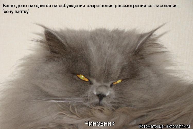 Котоматрица: Чиновник -Ваше дело находится на осбуждении разрешения рассмотрения согласования... [хочу взятку]