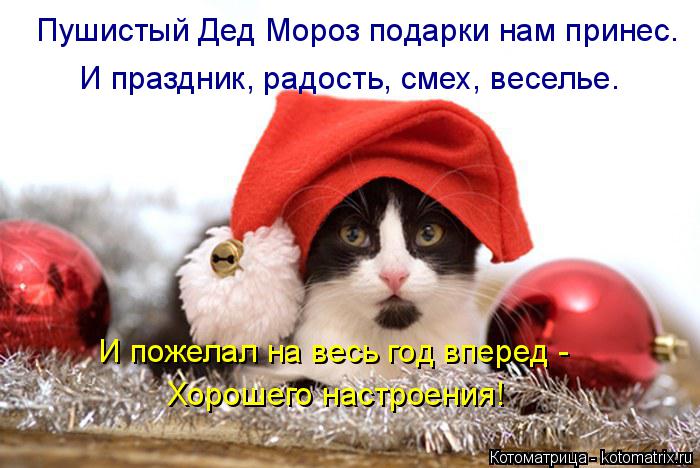 Пушистый Дед Мороз подарки нам принес. И праздник, радость, смех, веселье. И пожелал на весь год впер... Котоматрица: Пушистый Дед Мороз подарки нам принес. И праздник, радость, смех, веселье. И пожелал на весь год вперед - Хорошего настроения!