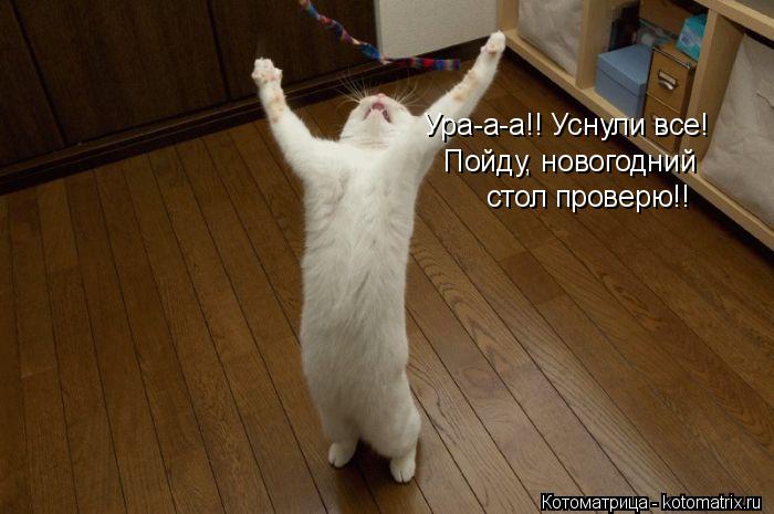 Ура-а-а!! Уснули все! Пойду, новогодний стол проверю!!... Котоматрица: Ура-а-а!! Уснули все! Пойду, новогодний стол проверю!!