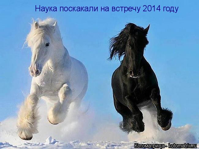 Наука поскакали на встречу 2014 году... Котоматрица: Наука поскакали на встречу 2014 году