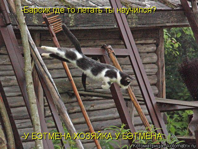 Котоматрица: -Барсик,где то летать ты научился? -У БЭТМЕНА ХОЗЯЙКА У БЭТМЕНА