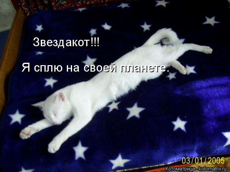 Звездакот!!! Я сплю на своей планете.... Котоматрица: Звездакот!!! Я сплю на своей планете.