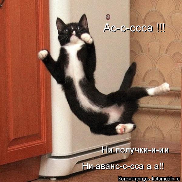 Ас-с-ссса !!! Ни получки-и-ии Ни аванс-с-сса а а!!... Котоматрица: Ас-с-ссса !!! Ни получки-и-ии Ни аванс-с-сса а а!!