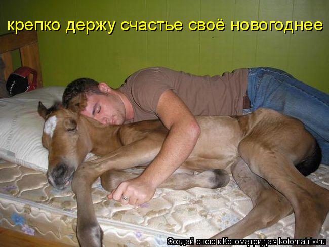 Котоматрица: крепко держу счастье своё новогоднее