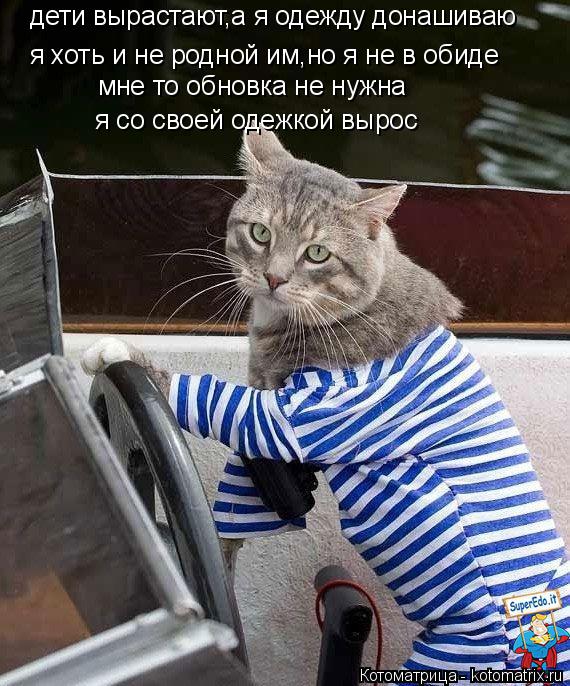 Котоматрица: дети вырастают,а я одежду донашиваю я хоть и не родной им,но я не в обиде мне то обновка не нужна я со своей одежкой вырос