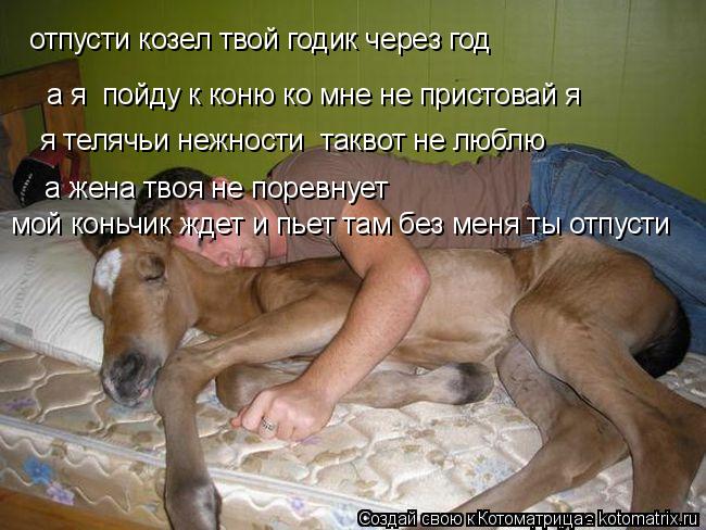 Котоматрица: отпусти козел твой годик через год а я  пойду к коню ко мне не пристовай я я телячьи нежности  таквот не люблю а жена твоя не поревнует мой ко