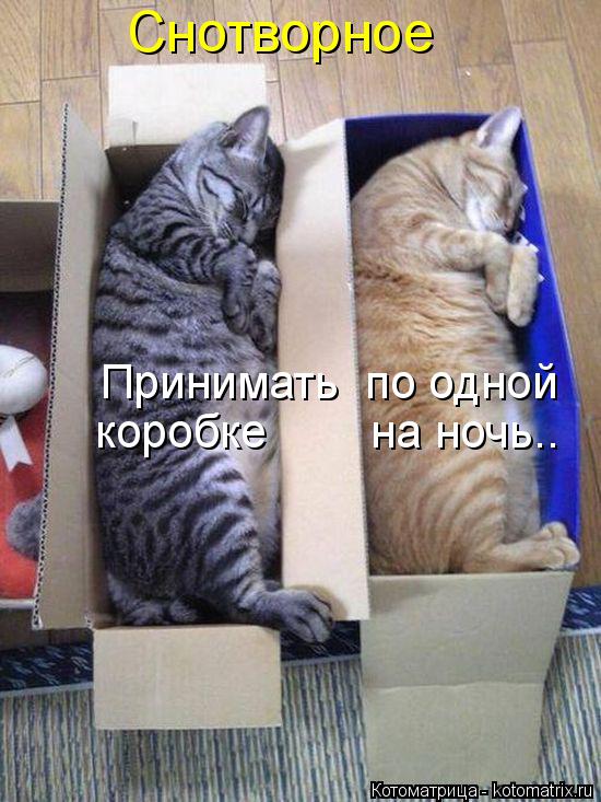 Снотворное Принимать по одной коробке на ночь..... Котоматрица: Снотворное Принимать по одной коробке на ночь..