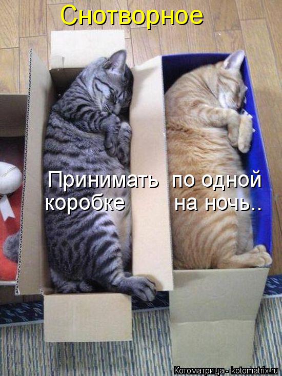 Котоматрица: Снотворное Принимать  по одной коробке        на ночь..