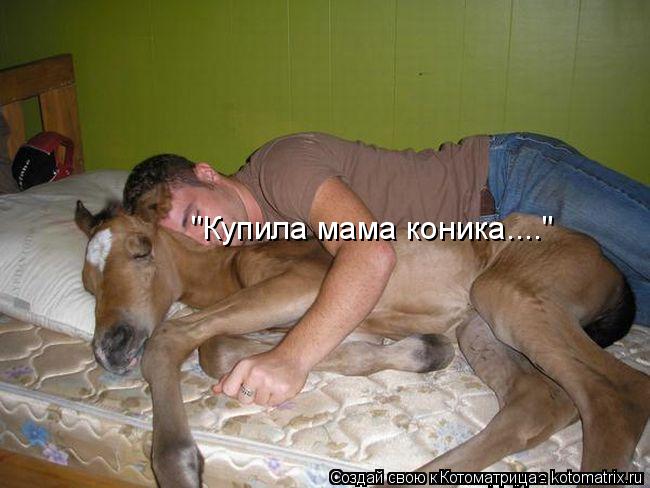 "Купила мама коника...."... Котоматрица: "Купила мама коника...."