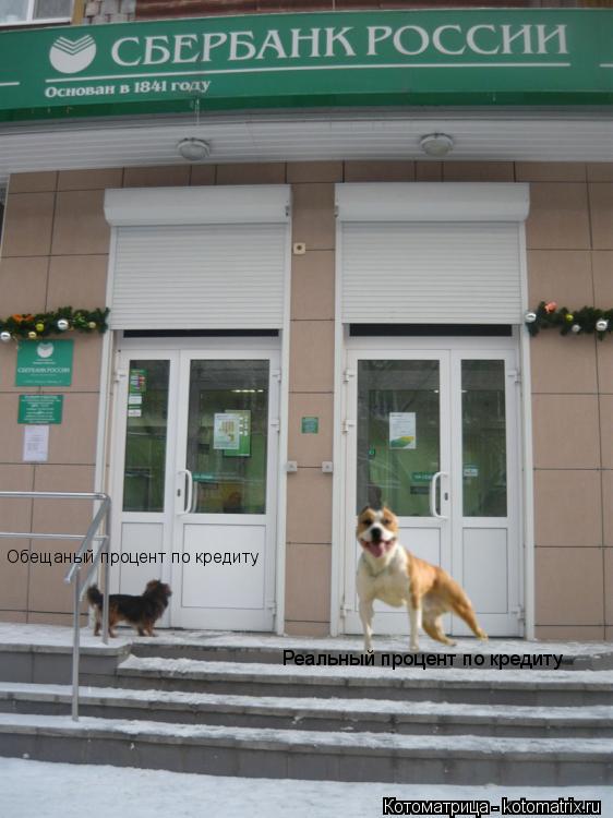 Котоматрица: Обещаный процент по кредиту Реальный процент по кредиту
