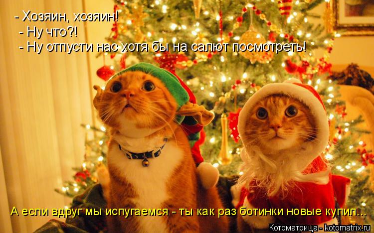 - Хозяин, хозяин! - Ну что?! - Ну отпусти нас хотя бы на салют посмотреть! А если вдруг мы испугаем... Котоматрица: - Хозяин, хозяин! - Ну что?! - Ну отпусти нас хотя бы на салют посмотреть! А если вдруг мы испугаемся - ты как раз ботинки новые купил...