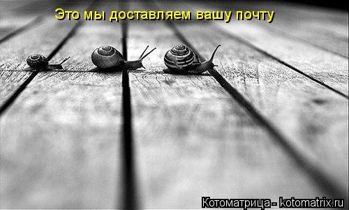 Это мы доставляем вашу почту... Котоматрица: Это мы доставляем вашу почту
