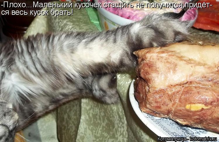 -Плохо...Маленький кусочек стащить не получится,придёт- ся весь кусок брать!... Котоматрица: -Плохо...Маленький кусочек стащить не получится,придёт- ся весь кусок брать!