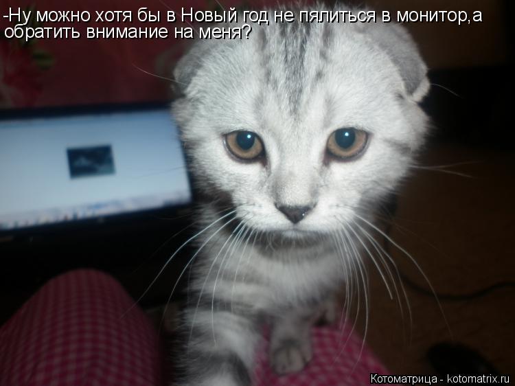 -Ну можно хотя бы в Новый год не пялиться в монитор,а обратить внимание на меня?... Котоматрица: -Ну можно хотя бы в Новый год не пялиться в монитор,а обратить внимание на меня?