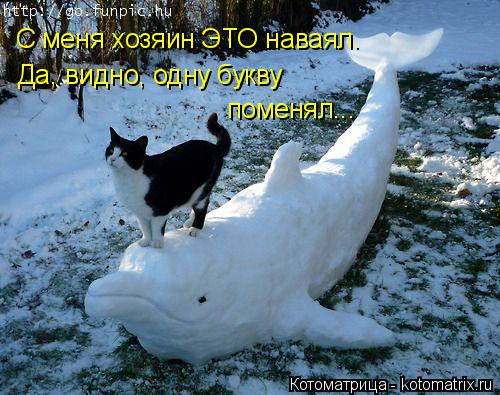 С меня хозяин ЭТО наваял. Да, видно, одну букву поменял...... Котоматрица: С меня хозяин ЭТО наваял. Да, видно, одну букву поменял...