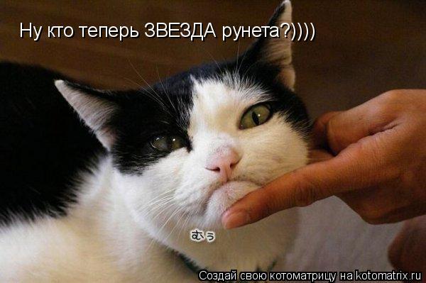 Ну кто теперь ЗВЕЗДА рунета?))))... Котоматрица: Ну кто теперь ЗВЕЗДА рунета?))))