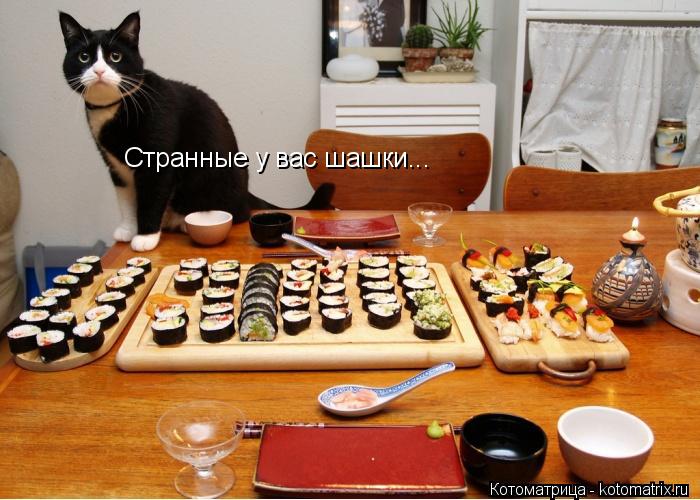 Странные у вас шашки...... Котоматрица: Странные у вас шашки...