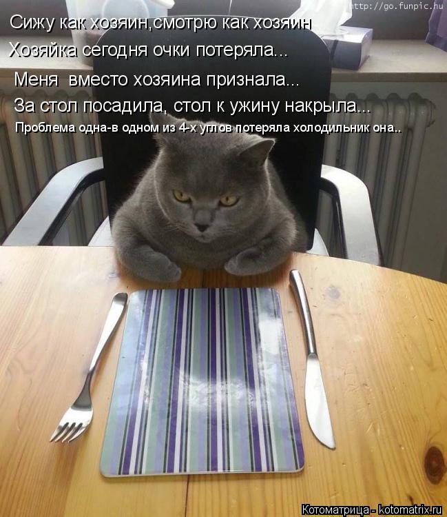 Сижу как хозяин,смотрю как хозяин Хозяйка сегодня очки потеряла... Меня вместо хозяина признала... З... Котоматрица: Сижу как хозяин,смотрю как хозяин Хозяйка сегодня очки потеряла... Меня вместо хозяина признала... За стол посадила, стол к ужину накрыла... П