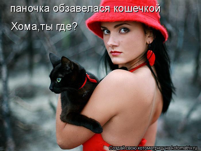 Котоматрица: паночка обзавелася кошечкой Хома,ты где?