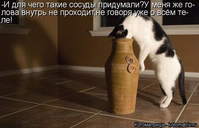 -И для чего такие сосуды придумали?У меня же го- лова внутрь не проходит,не говоря уже о всём те- ле!... Котоматрица: -И для чего такие сосуды придумали?У меня же го- лова внутрь не проходит,не говоря уже о всём те- ле!