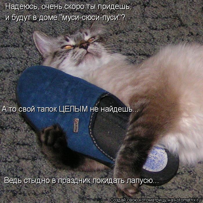 Надеюсь, очень скоро ты придешь, и будут в доме "муси-сюси-пуси"? А то свой тапок ЦЕЛЫМ не найдешь..... Котоматрица: Надеюсь, очень скоро ты придешь, и будут в доме "муси-сюси-пуси"? А то свой тапок ЦЕЛЫМ не найдешь... Ведь стыдно в праздник покидать лапусю...