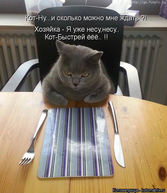 Кот-Ну...и сколько можно мне ждать ?! Хозяйка - Я уже несу,несу.. Кот-Быстрей ёёё.. !!... Котоматрица: Кот-Ну...и сколько можно мне ждать ?! Хозяйка - Я уже несу,несу.. Кот-Быстрей ёёё.. !!