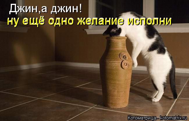 Джин,а джин! ну ещё одно желание исполни ну ещё одно желание исполни... Котоматрица: Джин,а джин! ну ещё одно желание исполни ну ещё одно желание исполни