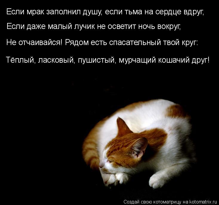 Если мрак заполнил душу, если тьма на сердце вдруг, Если даже малый лучик не осветит ночь вокруг, Не ... Котоматрица: Если мрак заполнил душу, если тьма на сердце вдруг, Если даже малый лучик не осветит ночь вокруг, Не отчаивайся! Рядом есть спасательный тво