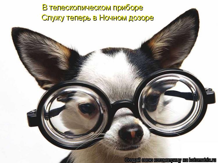 В телескопическом приборе Служу теперь в Ночном дозоре... Котоматрица: В телескопическом приборе Служу теперь в Ночном дозоре