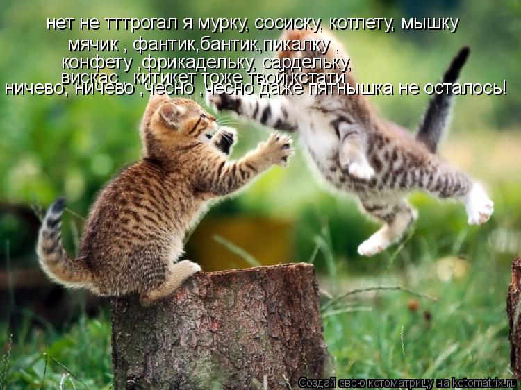 Котоматрица: нет не тттрогал я мурку, сосиску, котлету, мышку  мячик , фантик,бантик,пикалку ,  конфету ,фрикадельку, сардельку,  вискас , китикет тоже твой 