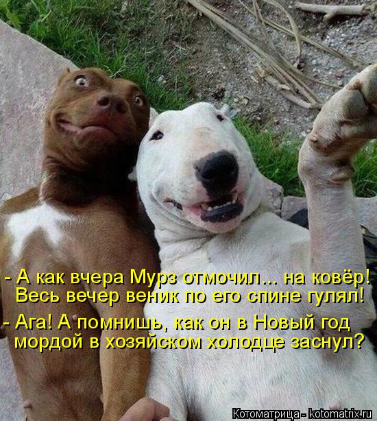 - А как вчера Мурз отмочил... на ковёр! Весь вечер веник по его спине гулял! - Ага! А помнишь, как он... Котоматрица: - А как вчера Мурз отмочил... на ковёр! Весь вечер веник по его спине гулял! - Ага! А помнишь, как он в Новый год мордой в хозяйском холодце засну