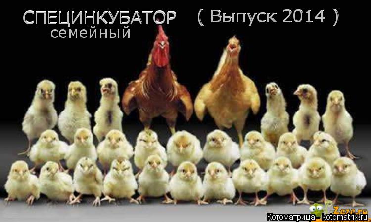 СПЕЦИНКУБАТОР СПЕЦИНКУБАТОР ( Выпуск 2014 ) ( Выпуск 2014 ) семейный... Котоматрица: СПЕЦИНКУБАТОР СПЕЦИНКУБАТОР ( Выпуск 2014 ) ( Выпуск 2014 ) семейный