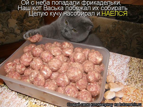 Котоматрица: Ой с неба попадали фрикадельки, Наш кот Васька побежал их собирать Целую кучу насобирал и.... НАЕЛСЯ
