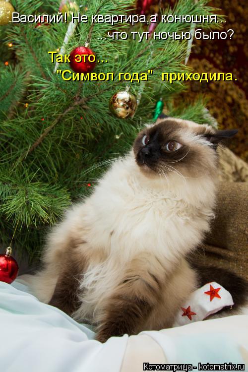 Котоматрица: Василий! Не квартира,а конюшня... ...что тут ночью было? Так это... "Символ года"  приходила.