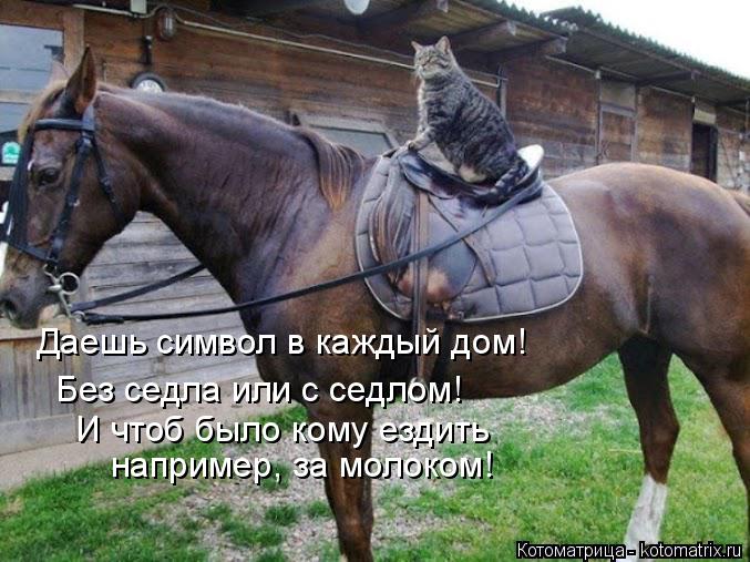 Котоматрица: Без седла или с седлом! И чтоб было кому ездить Даешь символ в каждый дом! например, за молоком!